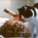 스마트폰길라잡이 이미지