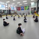 선도 키즈 태권도장 이미지