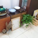 천세산삼