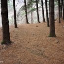 국민비박지 축령산/서리산 이미지