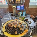 신마포 갈매기 이미지