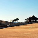 에이스작은도서관 이미지