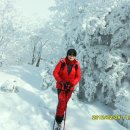 1박2일 Daum카페