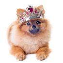 수명농장 이미지