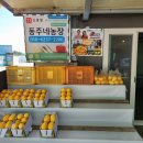 동주네 농장