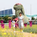 인천국제공항 하늘정원 내 이미지