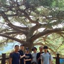 솔바구산장