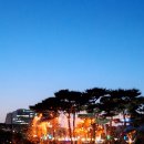 2026 세종 낙화축제 이미지