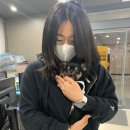 힐픽 이미지