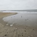 비치웨이 이미지