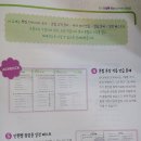 15초 따라 하기 말이 되는 영문법 (2) | 초등4 겨울방학, 초등학생 영어 영문법 첫 시작(EBS 만점왕 영어 따라쓰는 영문법1 입문 사용 후기)