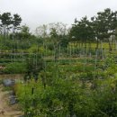 씨사이드 이미지