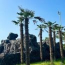 부안 더힐링휴 펜션 이미지