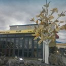 밥스카페 이미지