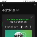 기꺼이 투표해 Beautiful Liar / <b>햄스타</b>상어모먼트