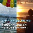 코타키나발루 투어 추천! 반딧불투어 vs 섬 호핑투어 비교 솔직후기