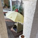 하성로 | 김포 대형 카페 추천 [하이베를리너] 내돈내산 후기