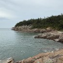 옥돌포레스트 네이버블로그