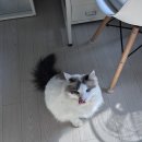 동성농장 | 언제 시원해 지는거야?