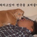 다들 이미지