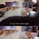 솔루션민