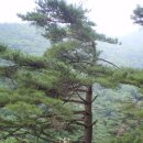 산책펜션 이미지