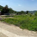 창녕군도천면논리보건진료소 | ##경남창녕토지(전)경매-2021타경911, 창녕 토지(전)경매>경남 창녕군 도천면 논리