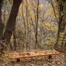 만추의 전원 이미지