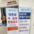 하동케이블카 | [하동]하동플라이웨이 케이블카! 하동케이블카 후기! 2025년 10월