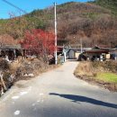 봉정2리마을회관 이미지