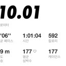 슈가복싱 프리미엄 이미지