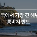 롱비치에서 생긴 일 이미지