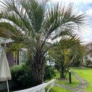 글라애월오션 이미지