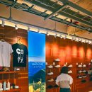 맹그로브 제주시티 이미지