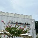 카페_최고요(cafe_최고요)