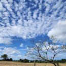 봉성노을담 이미지