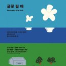 귤꽃향기 이미지