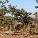 소나무경로당 이미지