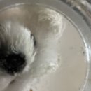 노랭보랭 이미지