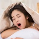 꿀잠자리 이미지