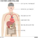 오아시스헬스 이미지