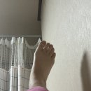 로즈맘산부인과 이미지