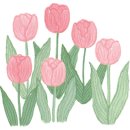 호텔아라리 이미지