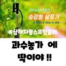 승강농장 네이버블로그