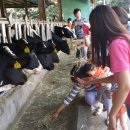 모산농장 이미지