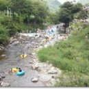 늘푸른사우나 이미지