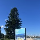 뫼골놀이공원(맑은샘어린이도서관 옆) | [호주]시드니 본다이비치, 타롱가주, 시드니현대미술관 MCA