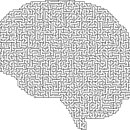 인지심리학 이미지