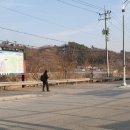 보룡(진목)