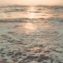 래드커머스 | [공지] 고민 끝에, '팔리는 인사이트' 제작 키트 강의 : 지식창업, 실물 커머스까지